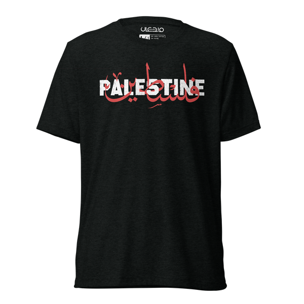 Palestine Tee