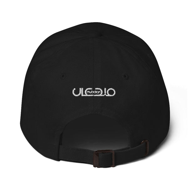 312 (Chitown) Hat